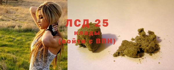 кокс Дмитров