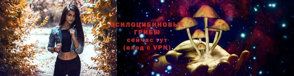 кокс Дмитров