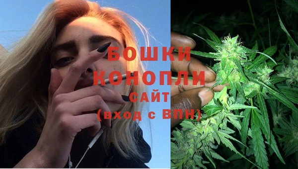 мяу мяу мука Осинники