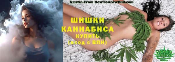 дживик Пестово