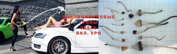 мяу мяу мука Осинники